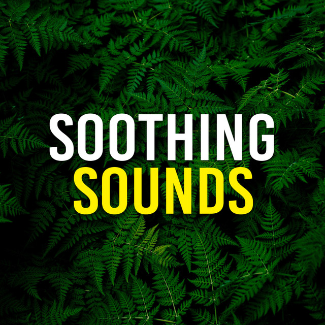 Soothing Sounds cover art