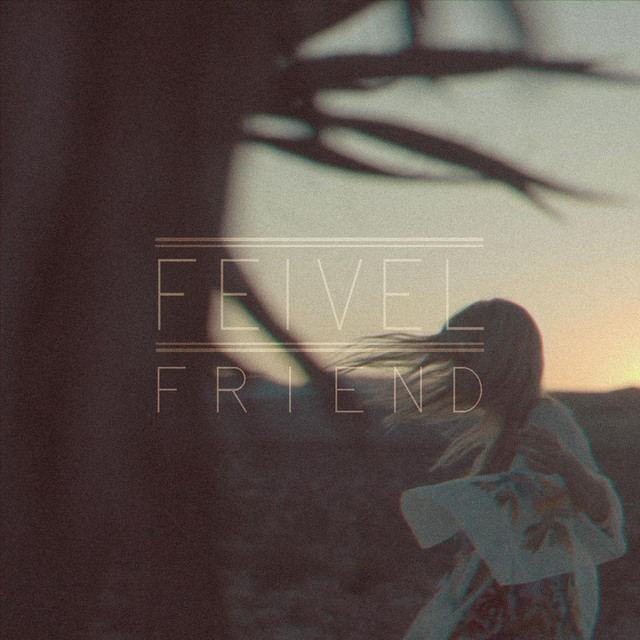 Friend cover