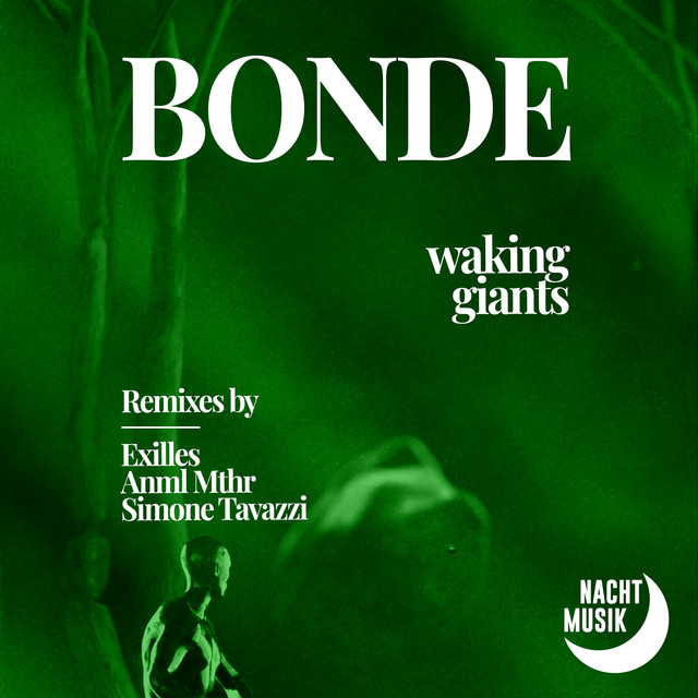 Waking Giants cover