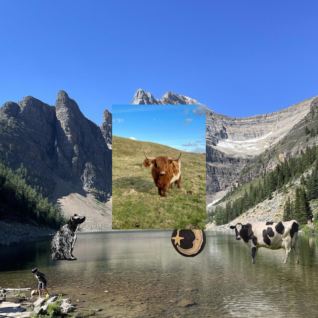 Year of the Cow cover