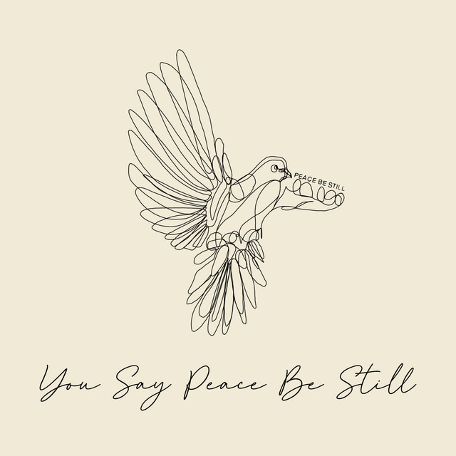 You Say Peace Be Still - Live