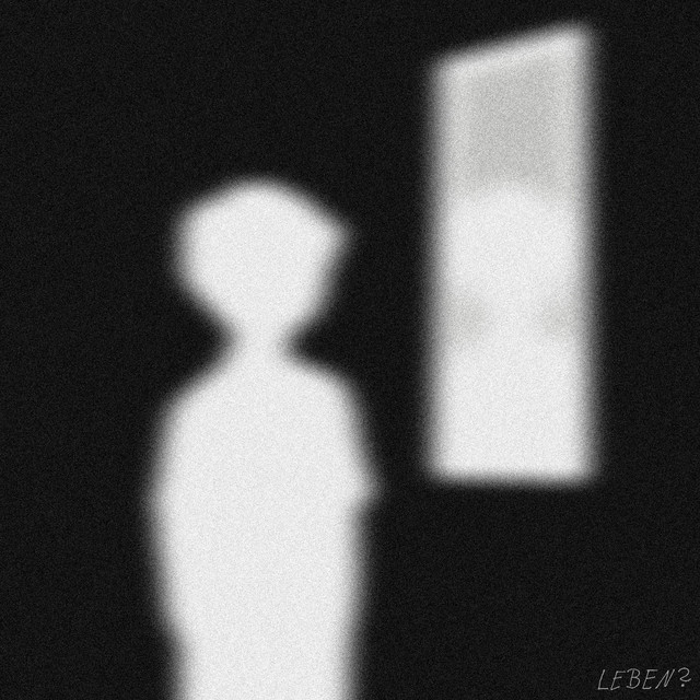 LEBEN ? cover art