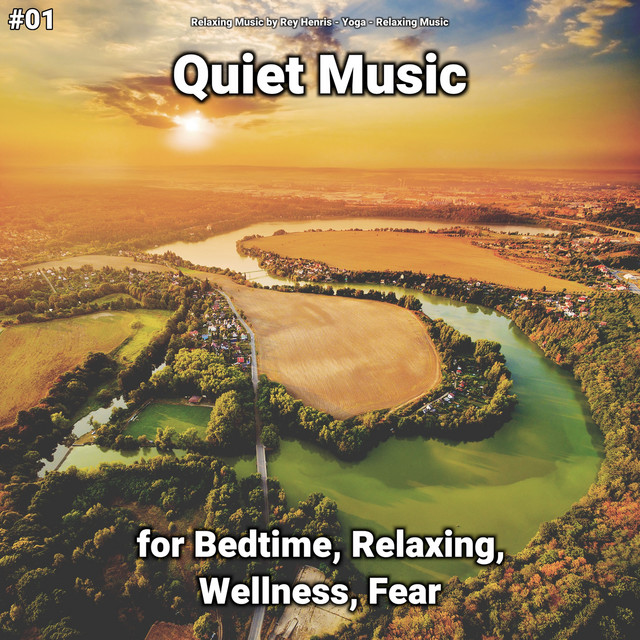 #01 Quiet Music for Bedtime, Relaxing, Wellness, Fear cover art