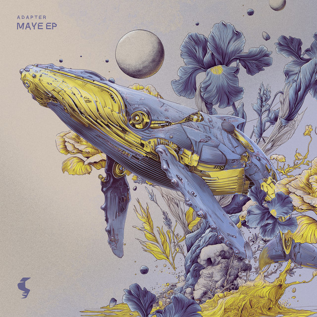Maye - Extended Mix album art