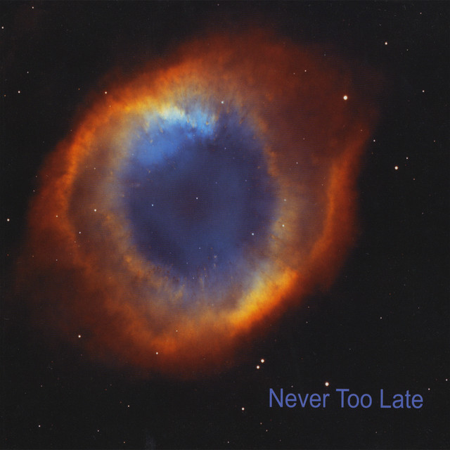 Never Too Late cover art