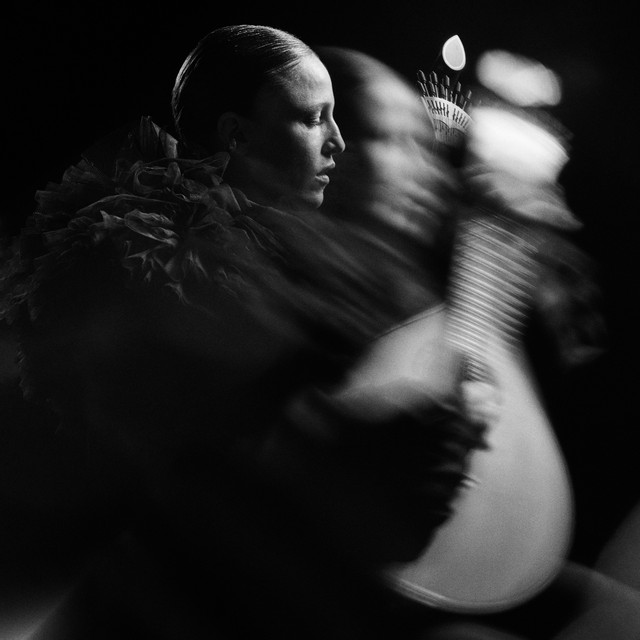 O quarto (Fado Menor) album image
