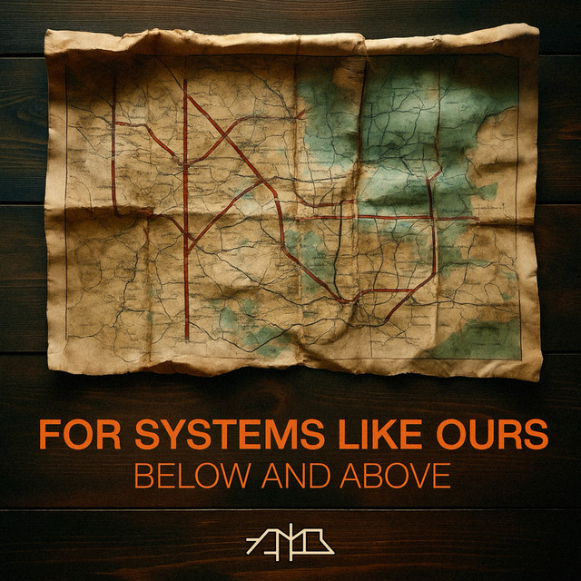 For Systems Like Ours cover art