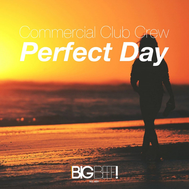 Perfect Day cover art