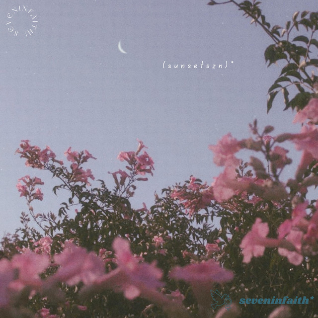 (sunsetszn)* cover