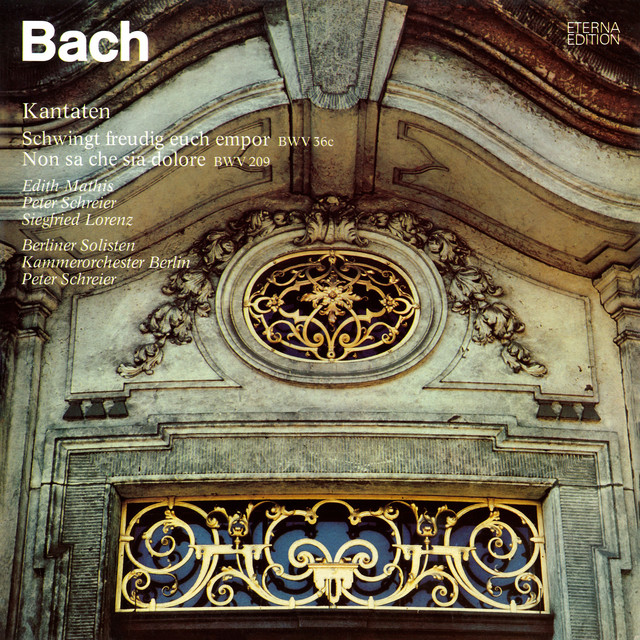 Bach: Schwingt freudig euch empor, BWV 36c / Non sa che sia dolore, BWV 209 cover art