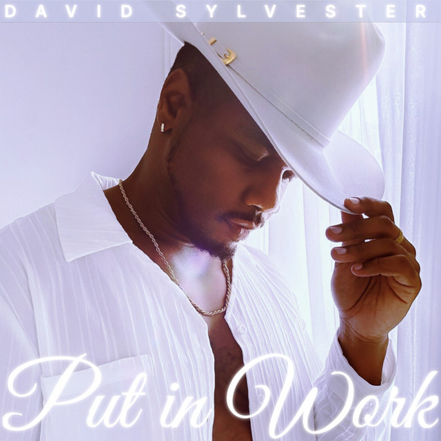 Put in Work cover art
