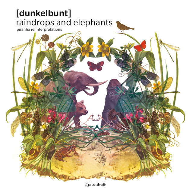 Raindrops And Elephants Piranha Re:Interpretations cover art