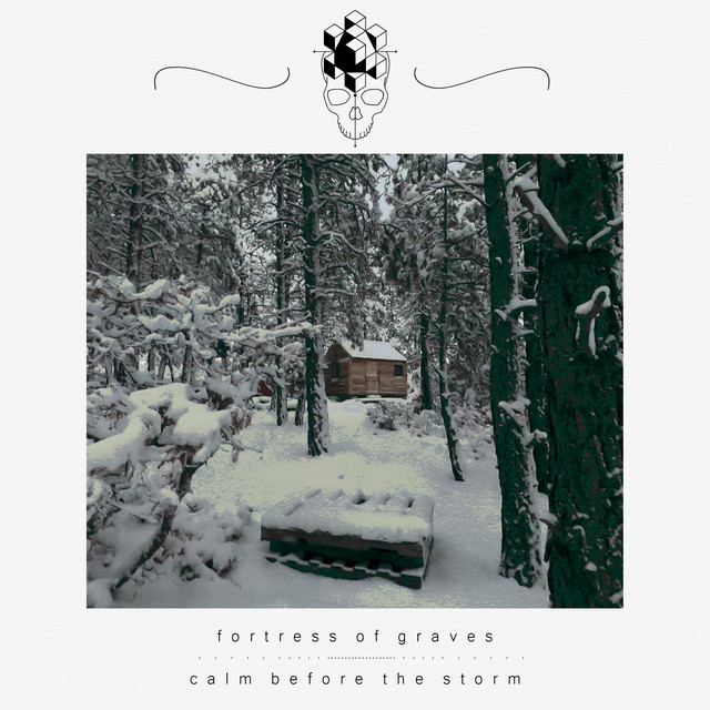 Calm Before The Storm cover art