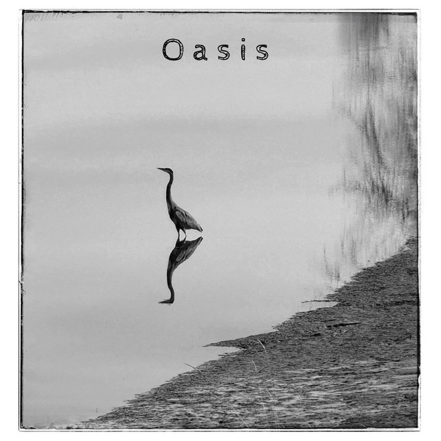 Oasis cover art