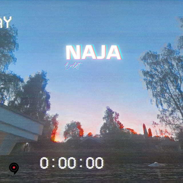 NAJA cover art