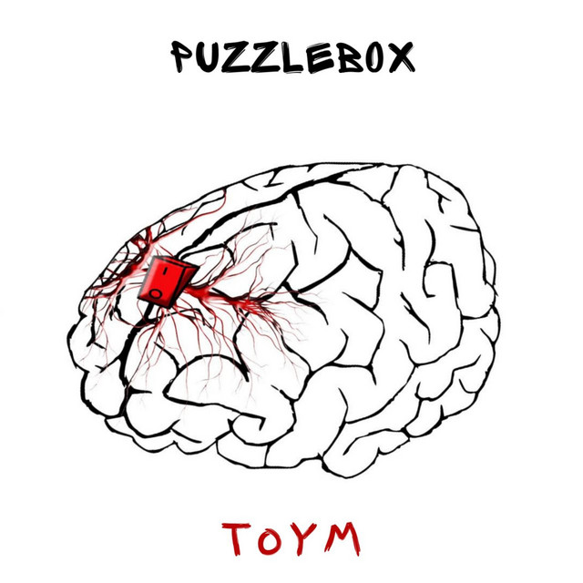 Cover art: ToYM (Turn on your mind) — Puzzlebox