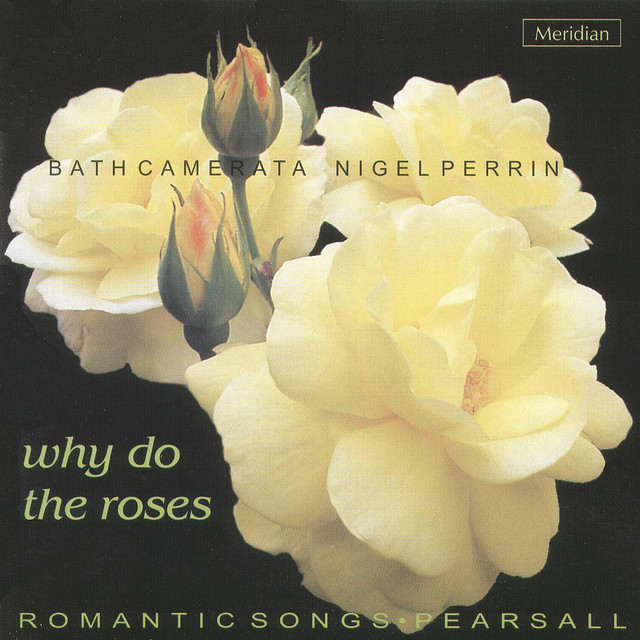Why Do The Roses - Romantic Songs cover art