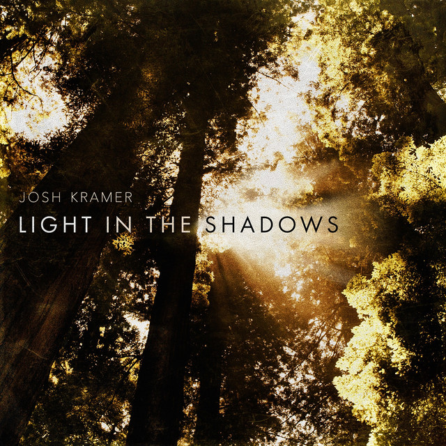 Light in the Shadows cover art