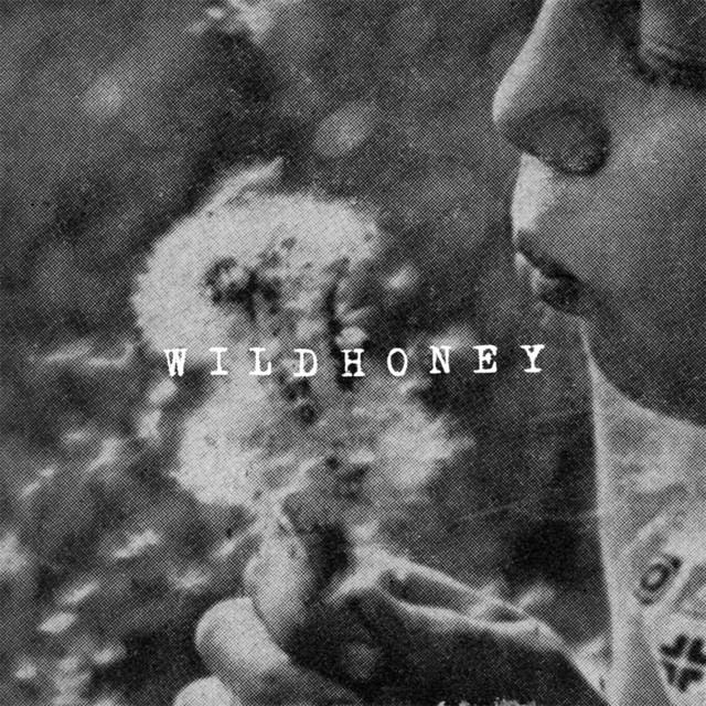 Wildhoney cover art