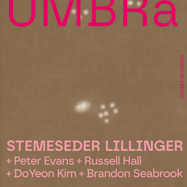 Elias Stemeseder Photo