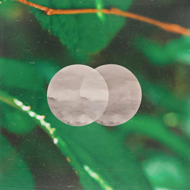 Light cover art