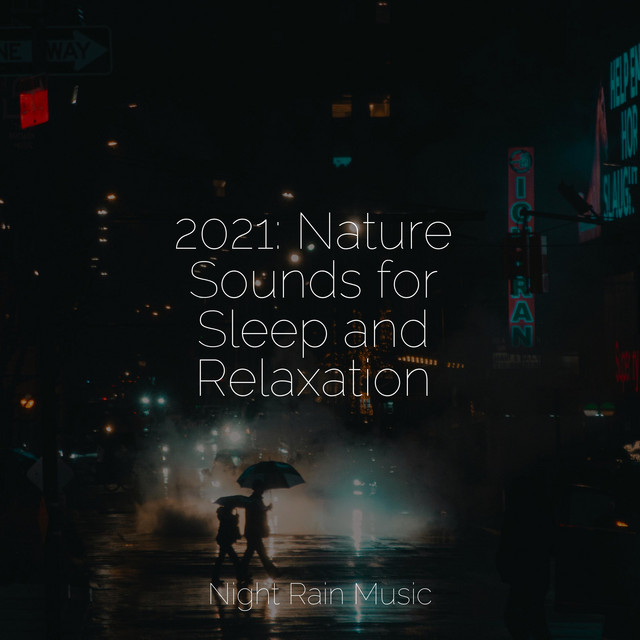2021: Nature Sounds for Sleep and Relaxation - Album by Trouble ...