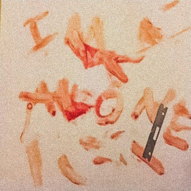 I'm Alone cover art