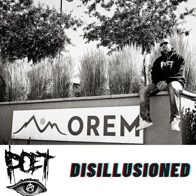 Disillusioned cover art