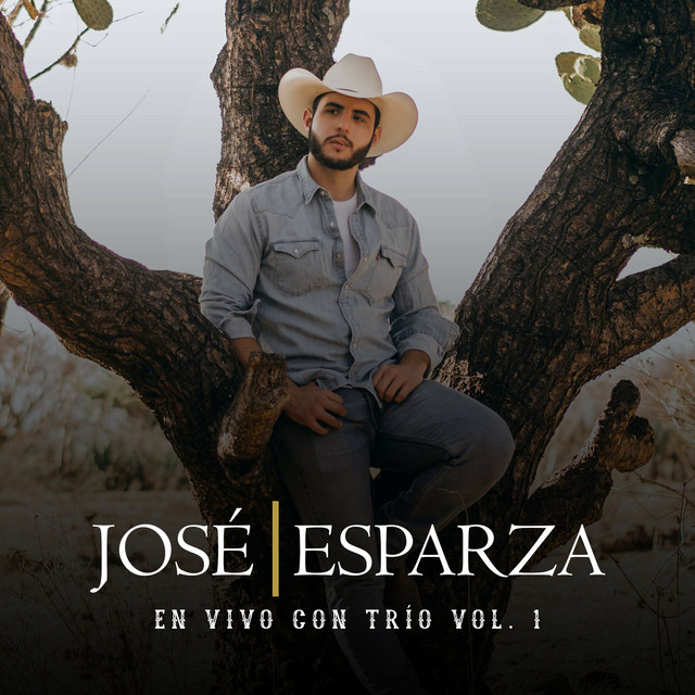 En Vivo Con Trio, Vol. 1 cover art