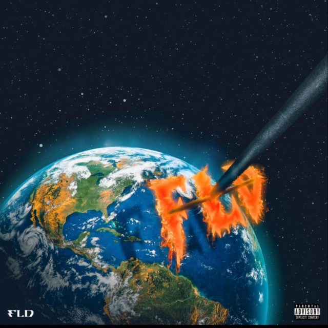 FLD cover art