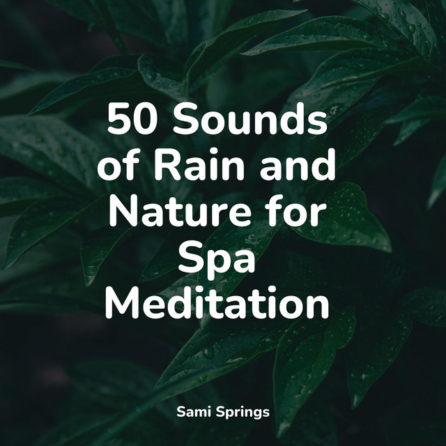 50 Sounds of Rain and Nature for Spa Meditation - Album by Life Sounds ...