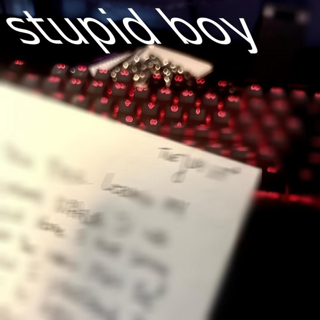 stupid boy