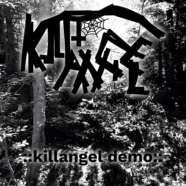 Into The Skies Where Thunder Rules - Demo