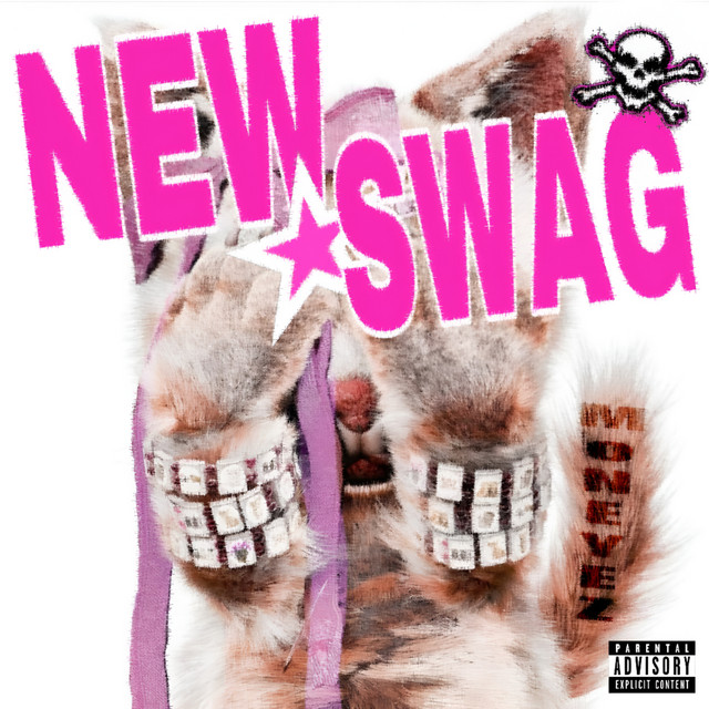 NEW SWAG cover art