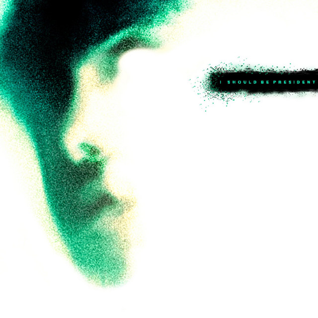 I SHOULD BE PRESIDENT cover art