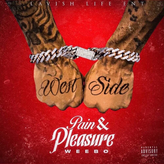 Pain & Pleasure cover art