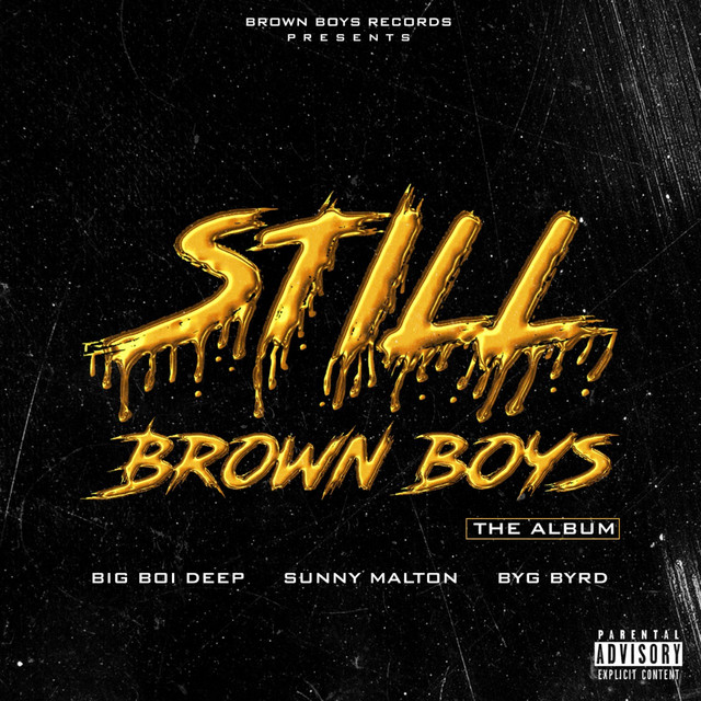 Still Brown Boys cover art