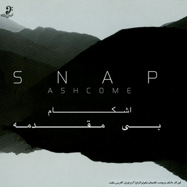Snap cover art
