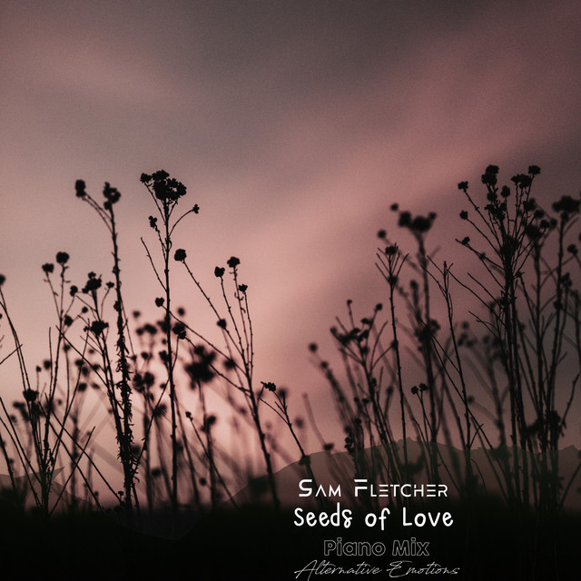 Обкладинка: Seeds of Love - Piano Mix — Sam Fletcher
