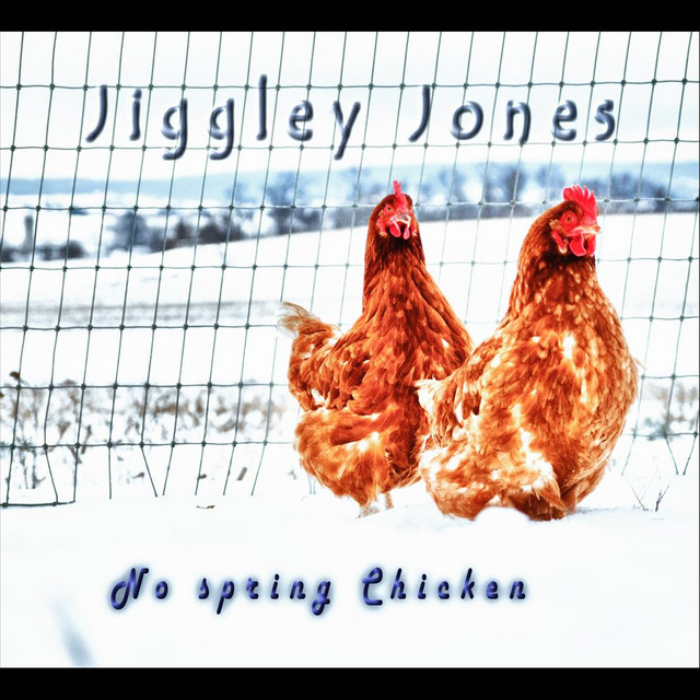 No Spring Chicken cover art