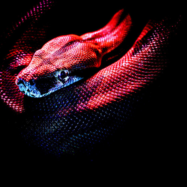 Slow n Deadly - Amapiano Mix album art
