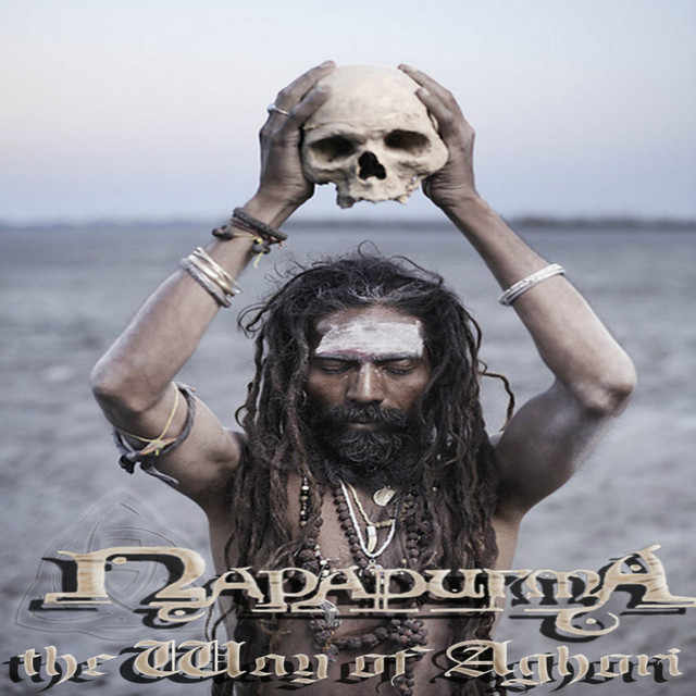 The Way of Aghori cover art