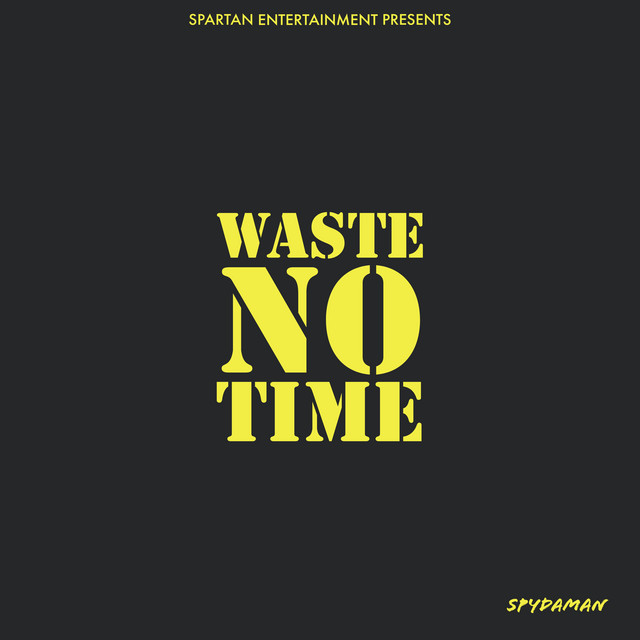 Waste No Time cover