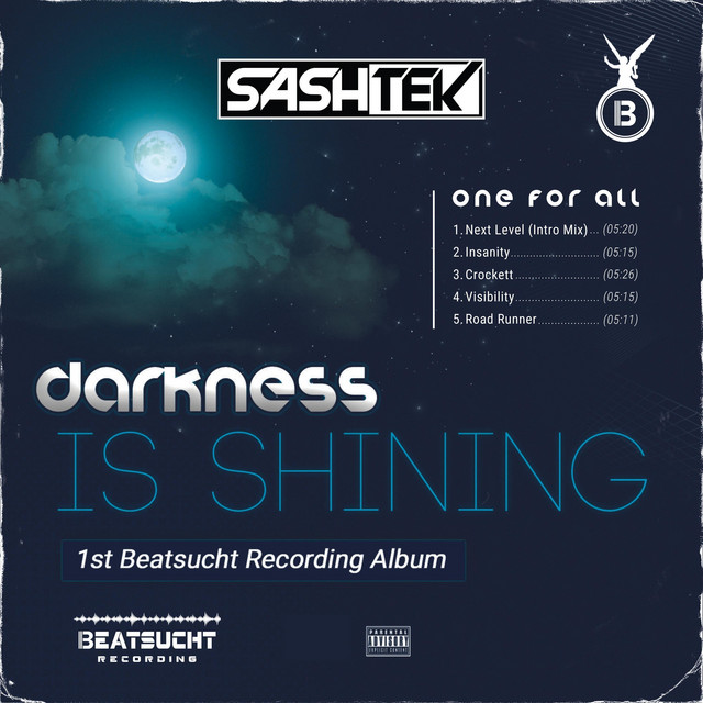 Darkness Is Shining cover art