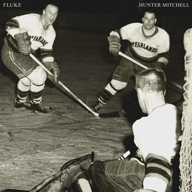 Fluke cover art