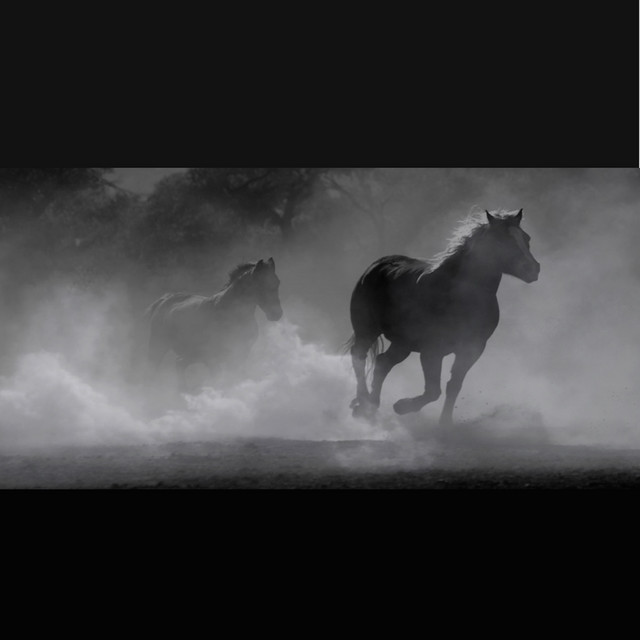 Horses cover art