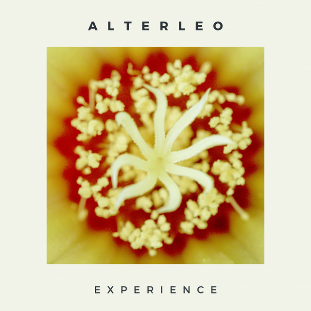 Experience cover art