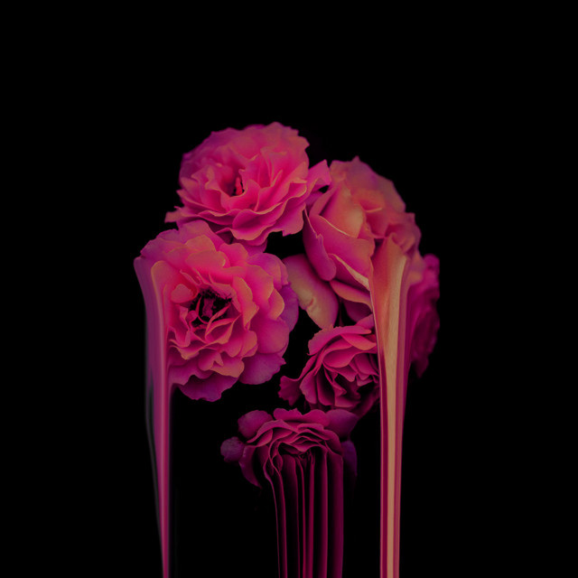 BLOOM cover art