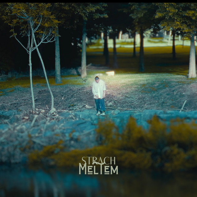 Meltem cover art