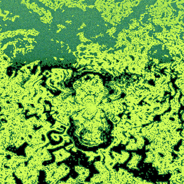 Singed cover